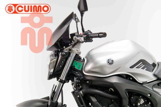 YAMAHA FZ6 N