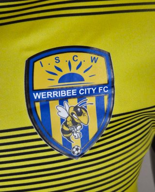 Camiseta Puma Werribee City FC Talla XS