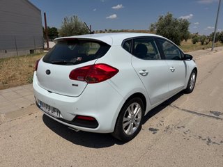 KIA ceed 1.6 CRDi VGT 128cv Drive