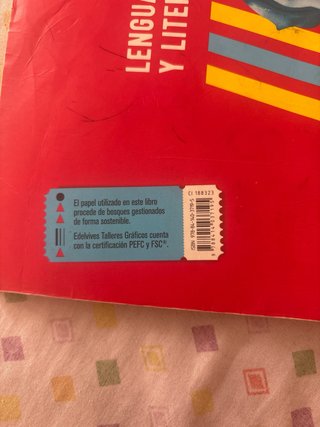 Lengua castellana y literatura 1 Secundaria