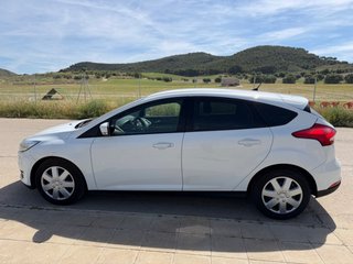 FORD Focus 1.5 TDCi 120cv Trend