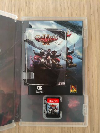 Divinity Original Sin II. Nintendo Switch