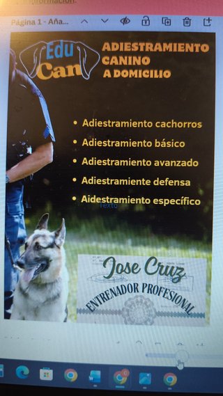 Paseador con título de adiestrador economico