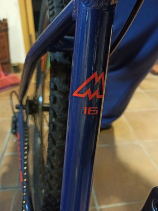 Bicicleta de montaña azul