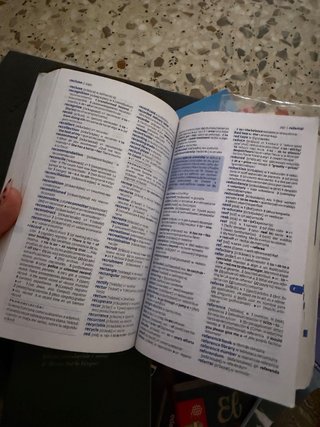 Diccionario Pocket Plus Inglés (Pocket Plus): D...