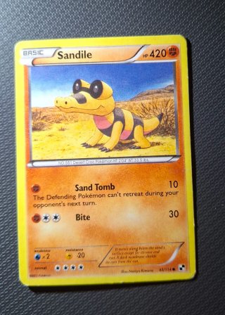 Carta Pokémon