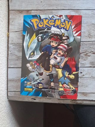 Pack de 2 libros pokemon