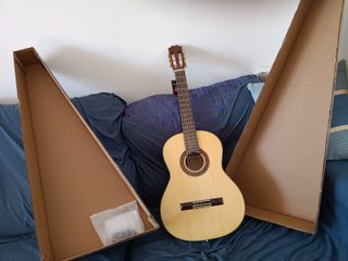 Guitarra Luthier con equipo de sonido