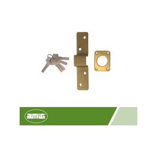 Amig 4-88 x 153 mm cerrojo seguridad acero puertas