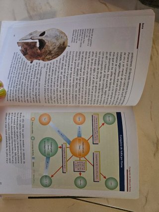 Enciclopedia Historia Universal Salvat