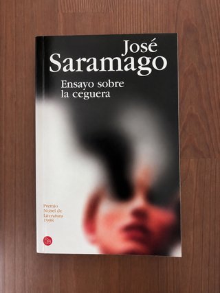 Ensayo Sobre la Ceguera