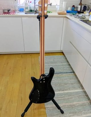Bajo spector legend standard