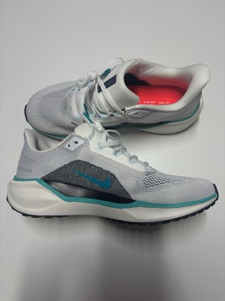 Nike Air Zoom Pegasus 41