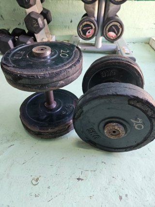 Mancuernas 20 kg