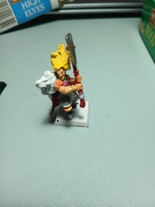 Leones blancos más mago alto elfo. Warhammer