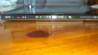 Tablet Acer iconia w500