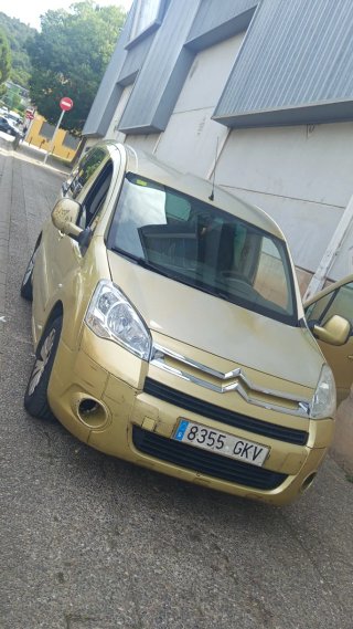 Citroen Berlingo 2008