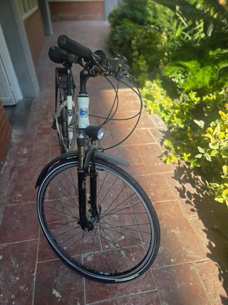 Bicicleta Steppenwolf Transterra