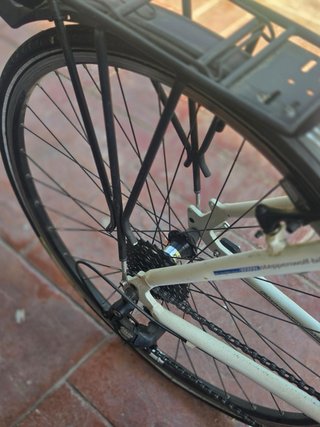 Bicicleta Steppenwolf Transterra
