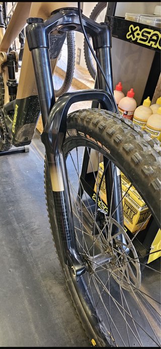 Bicicleta eléctrica