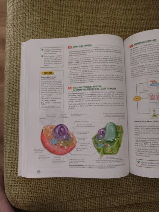 Biología 2 bachillerato