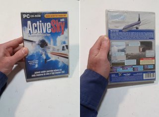 Videogioco pc Active Sky Lago software