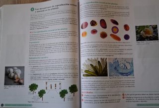 Biología, Geología y CC. Ambientales 1º Bachill...