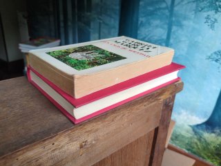 Gabriel Garcia Marquez - 2 libros