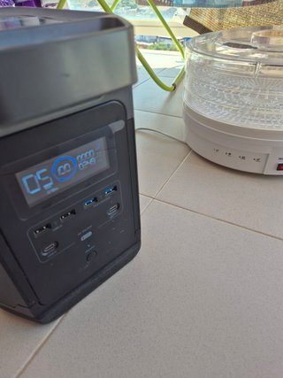 Ecoflow Delta 1gen
