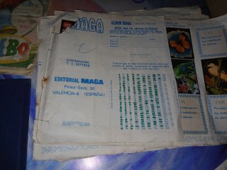 Lote