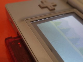 Nintendo ds lite con caticatore
