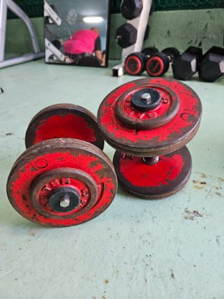 Mancuernas 10 kg