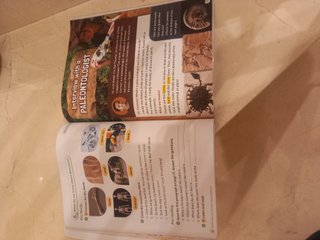 Cambridge Primary Reading Anthologies Level 2 S...