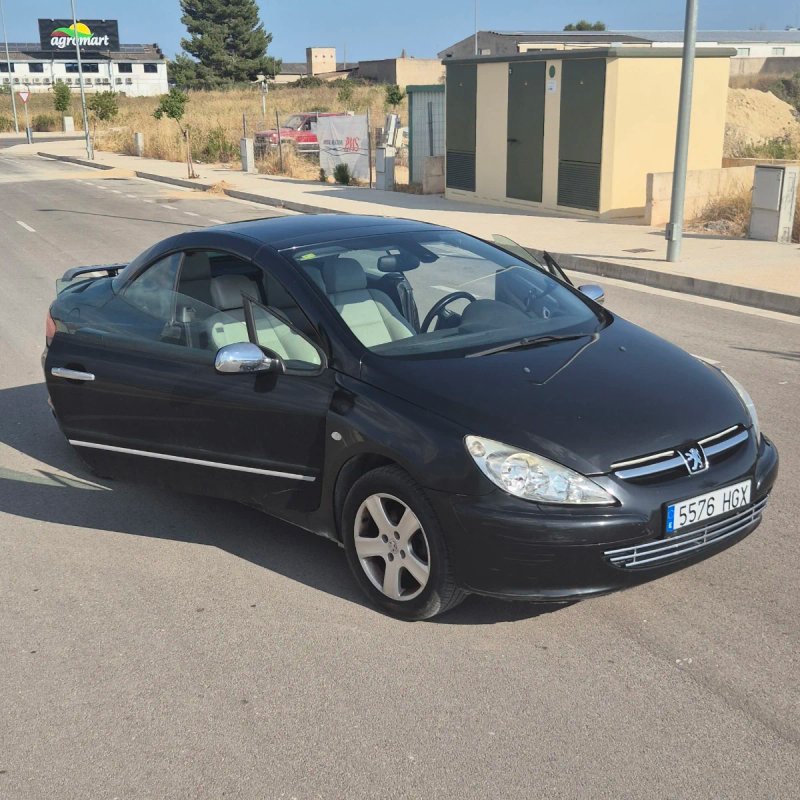 Peugeot 307 2004 - foto 1