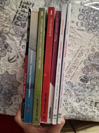 Lote libros 1° Bachillerato IES Aguas Vivas GU