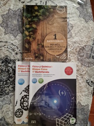 Lote libros 1° Bachillerato IES Aguas Vivas GU