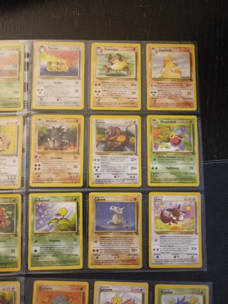 Lotto Jungle Pokémon 33 carte