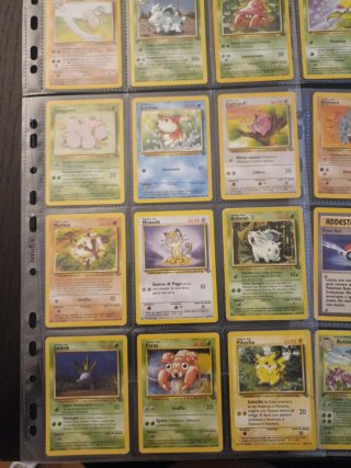Lotto Jungle Pokémon 33 carte