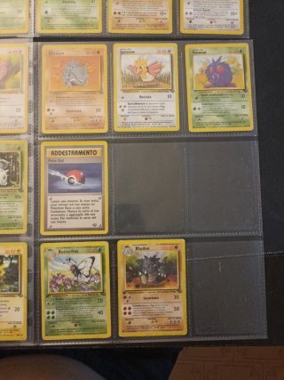 Lotto Jungle Pokémon 33 carte