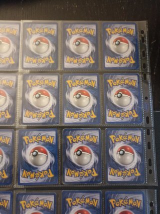 Lotto Jungle Pokémon 33 carte