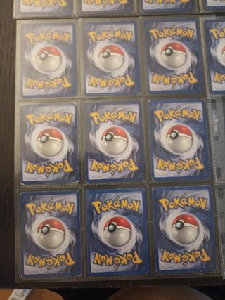 Lotto Jungle Pokémon 33 carte