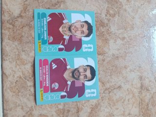 Cromo Del Mundial Panini Qatar