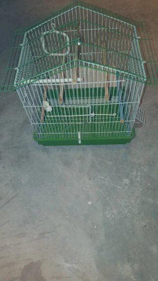 Jaula para pajaros.