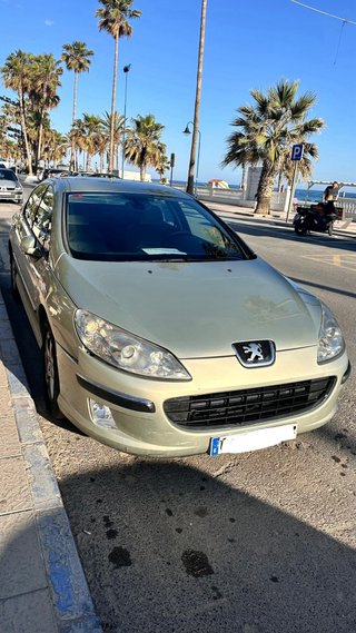Peugeot 407 2004