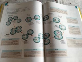 Libro de Biología 2 de Bachillerato edit Edelvives