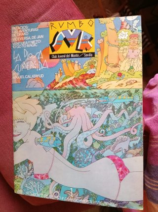 Revistas Rumbo Sur años 80