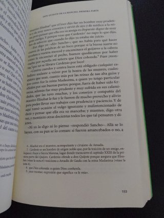 Don Quijote de la Mancha Antología esencial