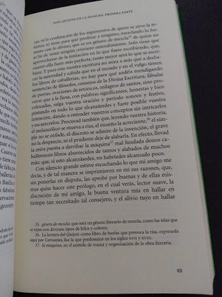 Don Quijote de la Mancha Antología esencial