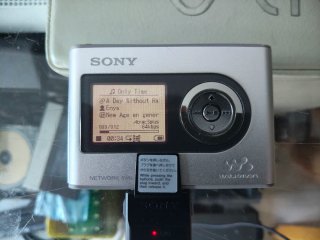 Sony Walkman NW-HD3. (Leer)
