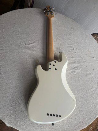 LAKLAND 5 CUERDAS